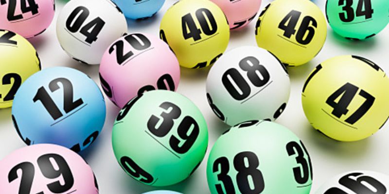 99win gà chọi c1 mới nhất