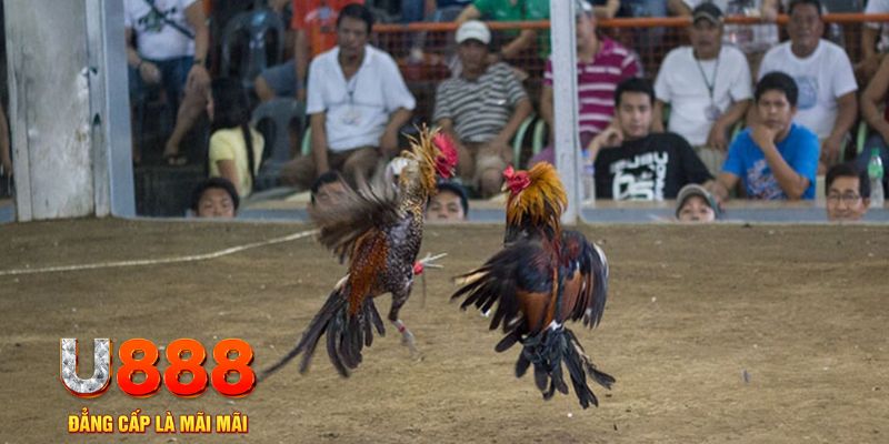 99win đăng nhập mậu binh khuyến mãi