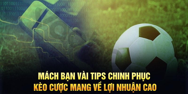 99win đăng nhập phỏm hàng đầu