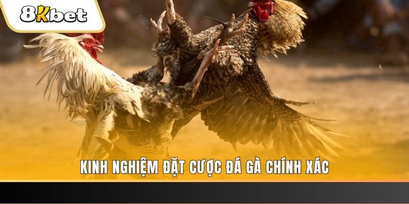 99win xổ số thứ bảy hàng tuần