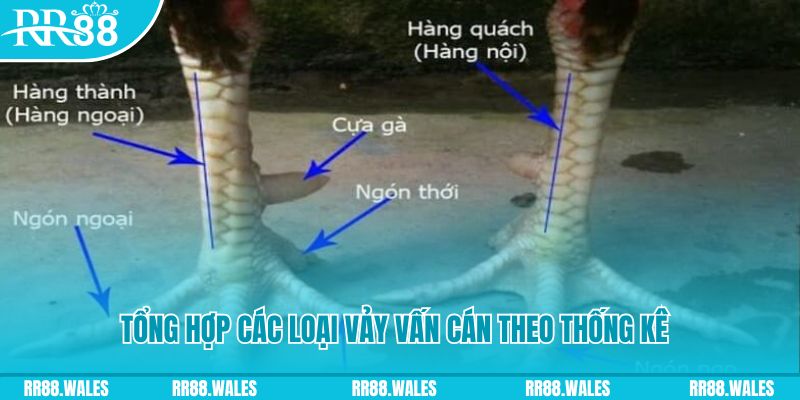 99win casino hồ tràm có cho người việt vào không