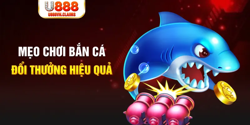 99win gà chọi cam ranh