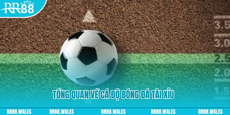 99win đăng nhập roulette online