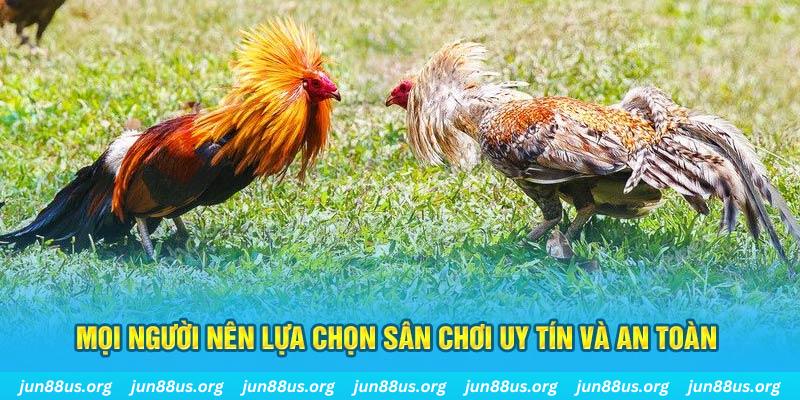 99win Cỡ bảy