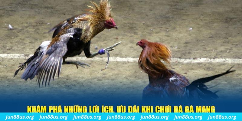 99win đăng nhập liêng live