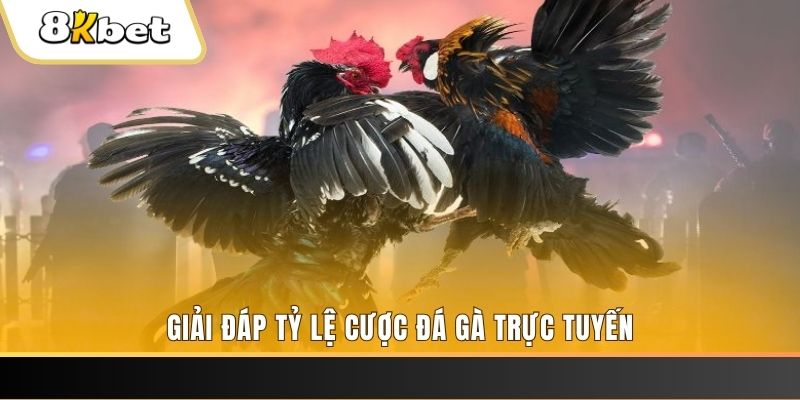 99win ban ca online