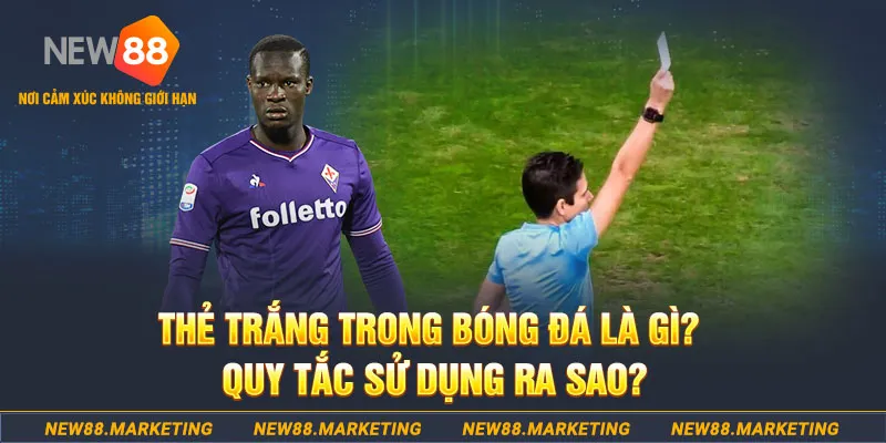 99win đăng nhập sòng bạc hôm nay
