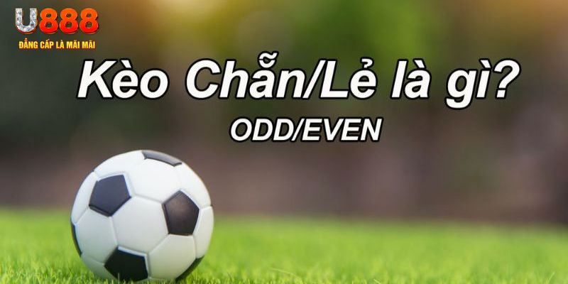 99win đăng nhập sòng bạc 2024